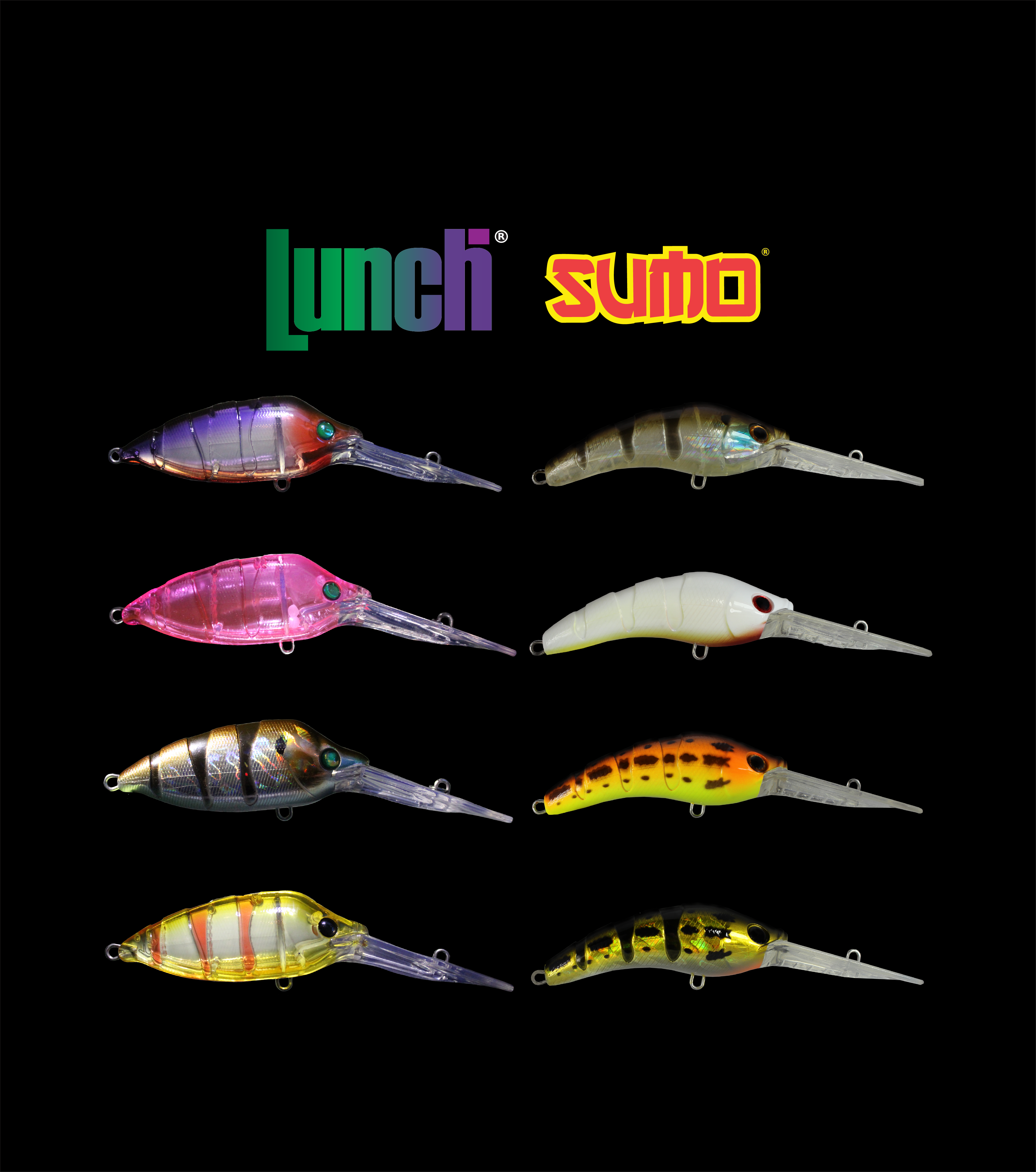 SUMO meets Lunch pack x8